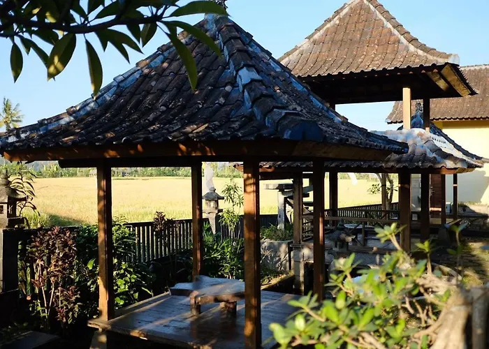 Padi Bali Aparthotel Munduk